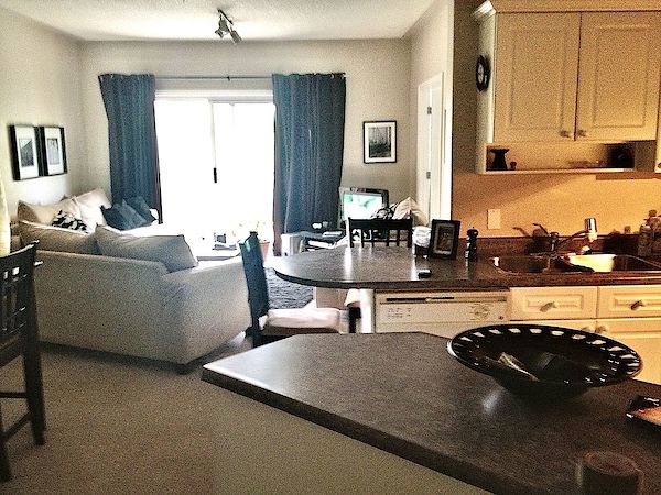 Edmonton 2 bedrooms Condo Unit for rent. Property photo: 431977-2