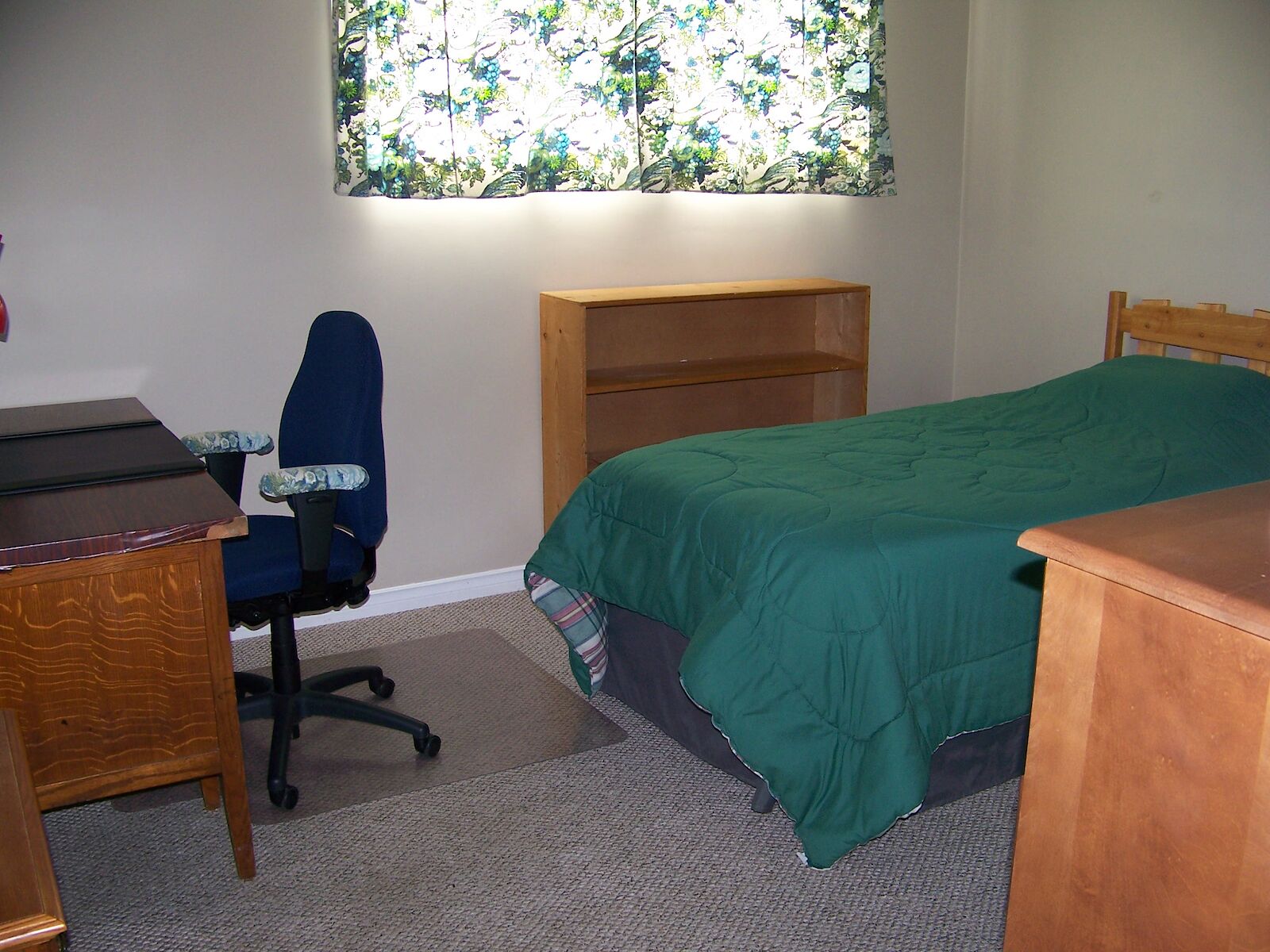 Edmonton 2 bedrooms Basement for rent. Property photo: 432206-1