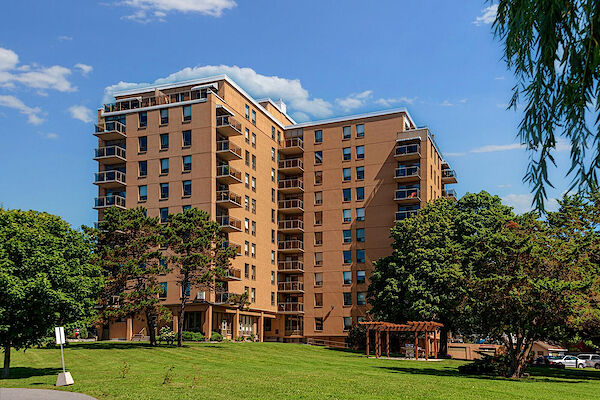 Kingston 2 bedrooms Apartment for rent. Property photo: 434445-2