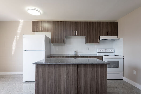 Edmonton 1 bedroom Apartment for rent. Property photo: 437105-3