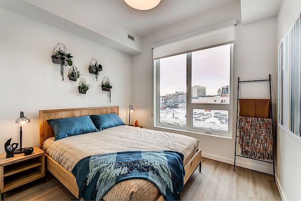 Edmonton 1 bedrooms Apartment for rent. Property photo: 437811-3