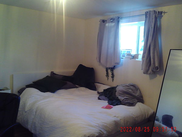Edmonton 3 bedrooms Basement for rent. Property photo: 439718-2