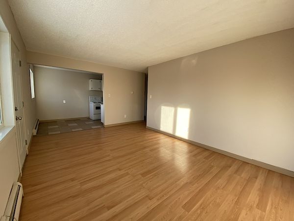 Edmonton 1 bedroom Apartment for rent. Property photo: 440549-2