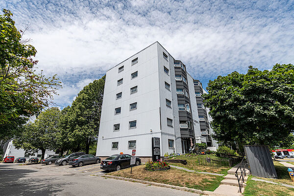 Kingston 1 bedrooms Apartment for rent. Property photo: 441335-3
