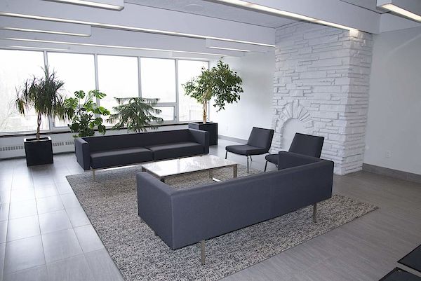 Kingston 1 bedrooms Apartment for rent. Property photo: 441336-3