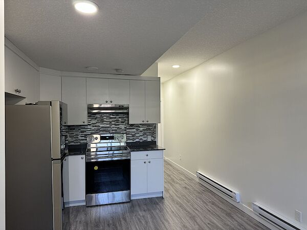 Edmonton 2 bedrooms Basement for rent. Property photo: 445773-2