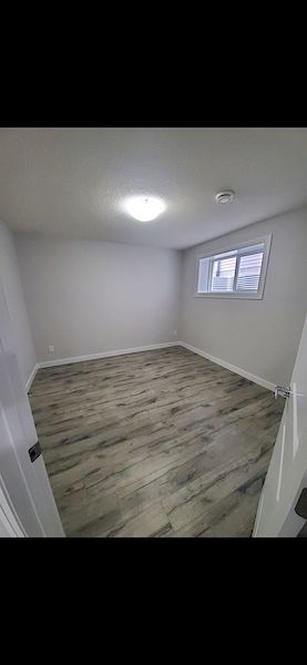 Edmonton 1 bedroom Basement for rent. Property photo: 446293-2