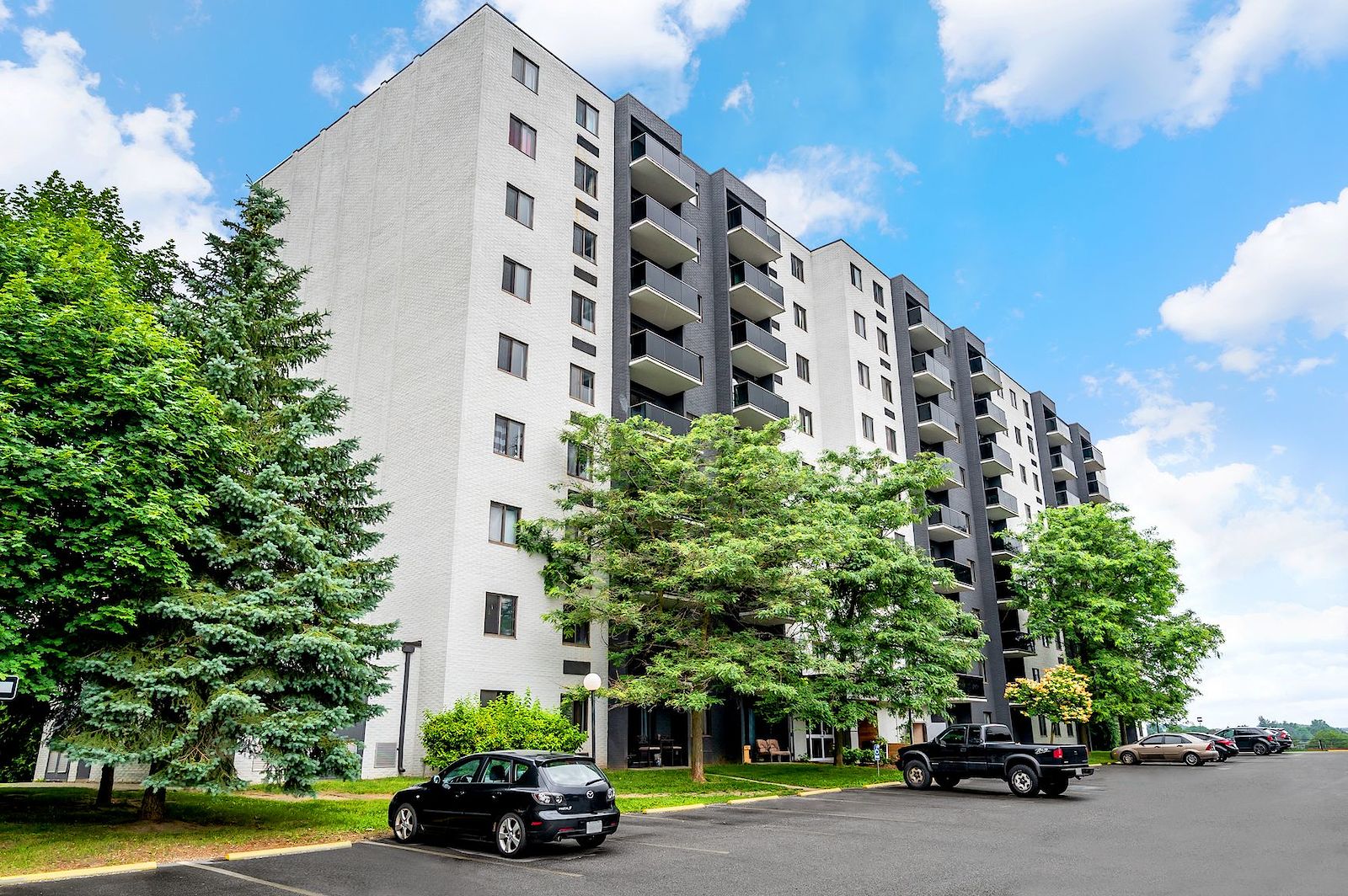 Kitchener 2 bedrooms Apartment for rent. Property photo: 447704-1