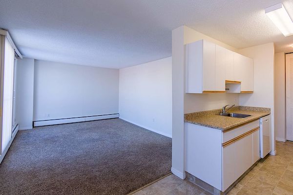 Edmonton 1 bedroom Apartment for rent. Property photo: 450153-3