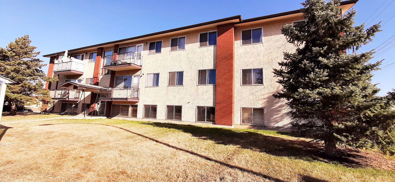 Edmonton 1 bedroom Apartment for rent. Property photo: 456583-1