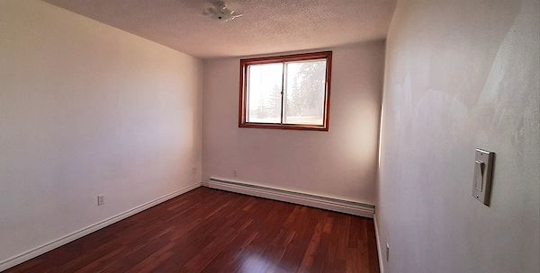 Edmonton 1 bedroom Apartment for rent. Property photo: 456583-3