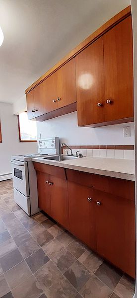 Edmonton 1 bedroom Apartment for rent. Property photo: 456583-2
