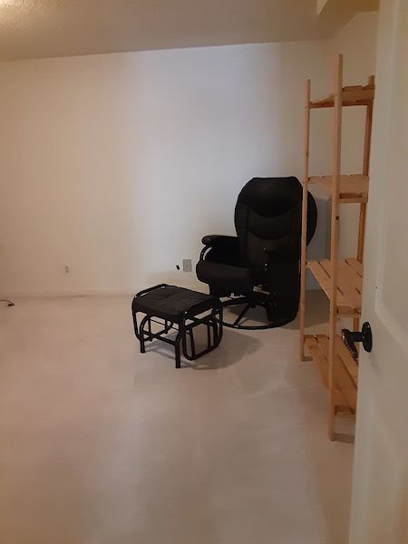 Edmonton 1 bedroom Basement for rent. Property photo: 457880-3