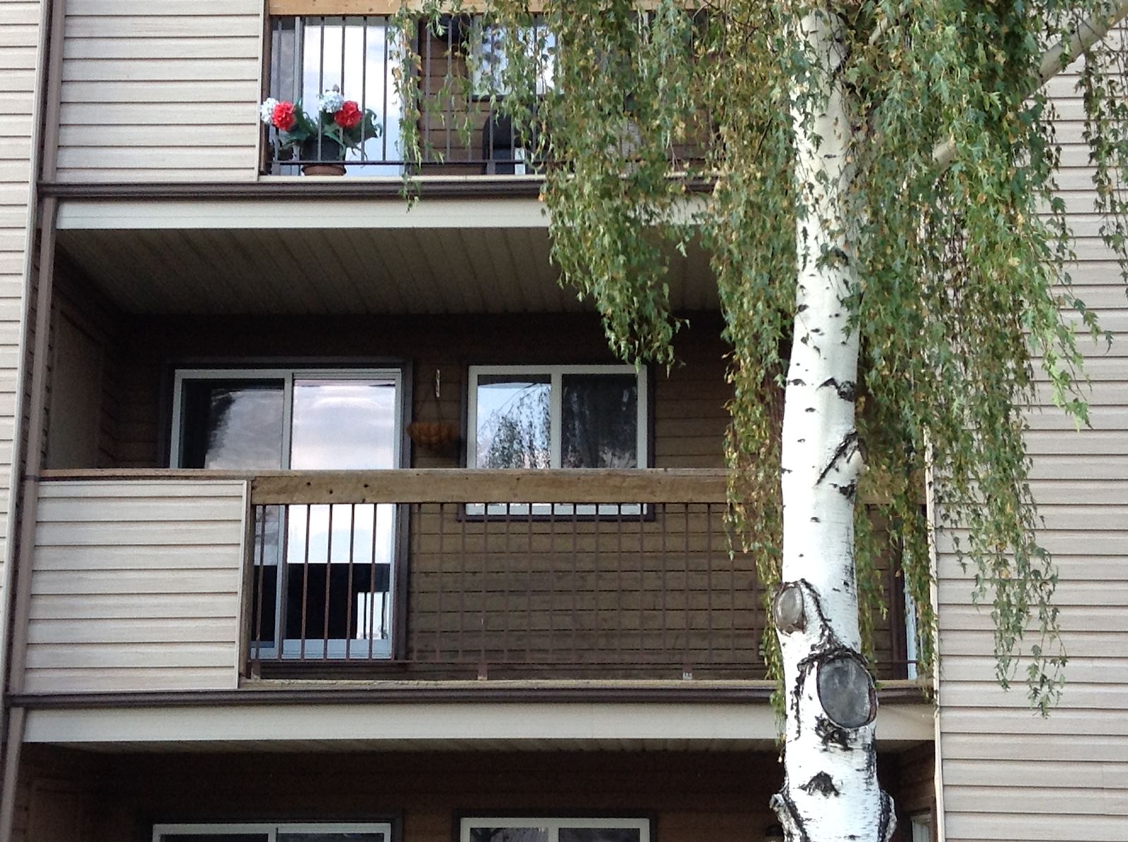 Edmonton Pet Friendly Apartment For Rent | Hairsine ...