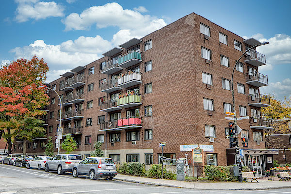 Montréal 1 bedrooms Apartment for rent. Property photo: 462588-2