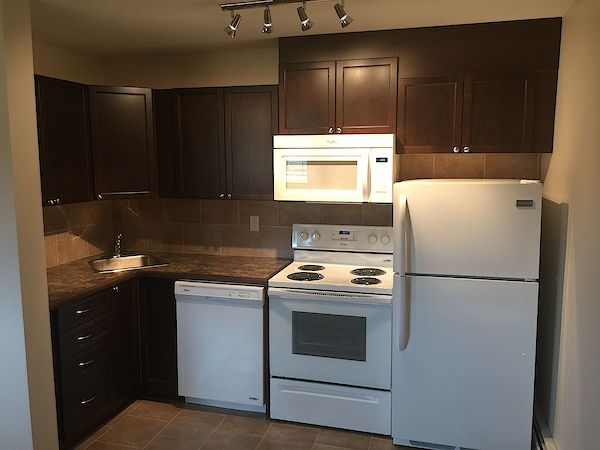 Calgary 2 bedrooms Apartment for rent. Property photo: 477696-3
