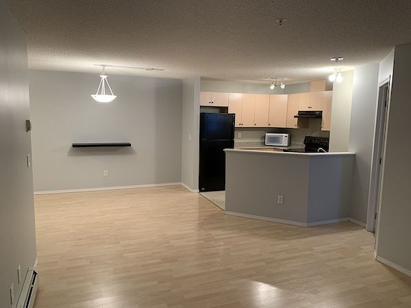 Edmonton 2 bedrooms Condo Unit for rent. Property photo: 479372-2