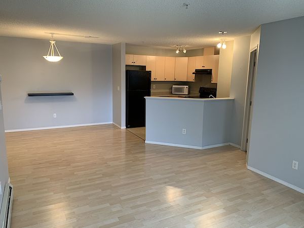 Edmonton 2 bedrooms Condo Unit for rent. Property photo: 479372-3