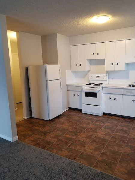 Edmonton 1 bedroom Apartment for rent. Property photo: 479578-3