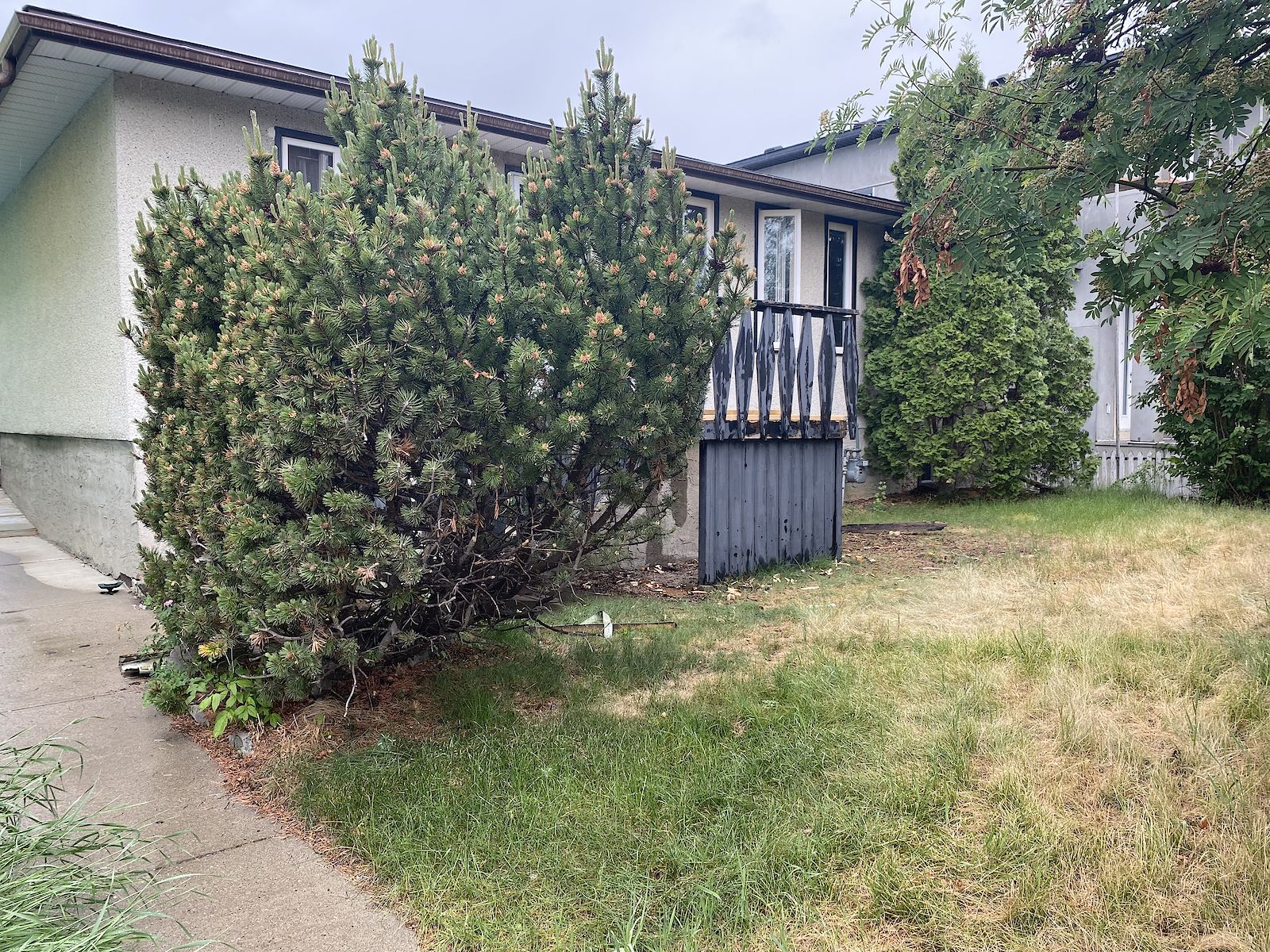 Calgary Pet Friendly Main Floor For Rent Bowness Spacious 2 Bdrm   7741791.v.4852d883fc8a36c6e209575a2ad575e8 