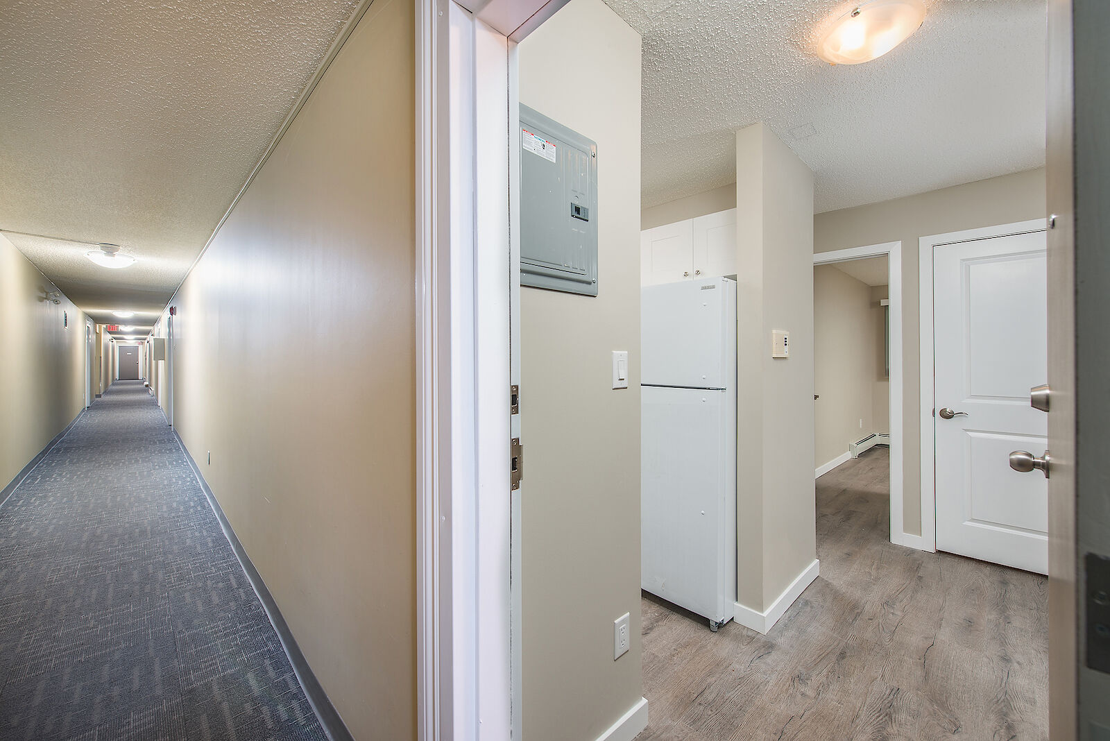 Edmonton 1 bedroom Apartment for rent. Property photo: 491477-1