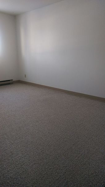 Carman 1 bedroom Apartment for rent. Property photo: 495942-3