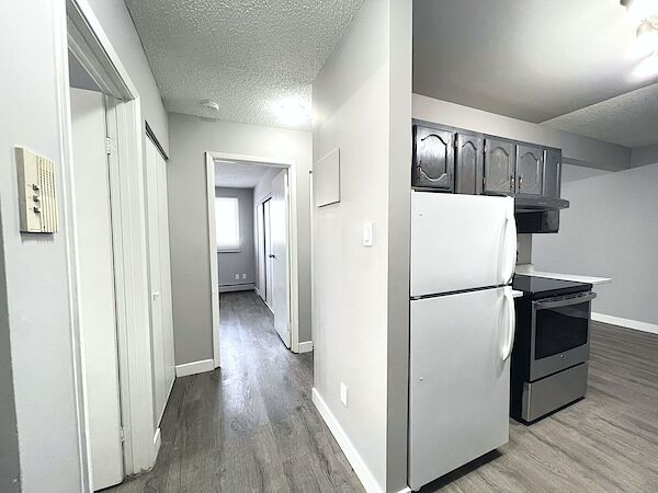 Edmonton 1 bedroom Apartment for rent. Property photo: 498358-2