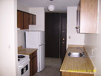 Edmonton 1 bedroom Apartment for rent. Property photo: 502853-3