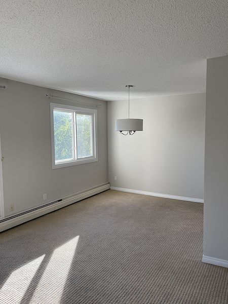 Edmonton 2 bedrooms Condo Unit for rent. Property photo: 503296-3