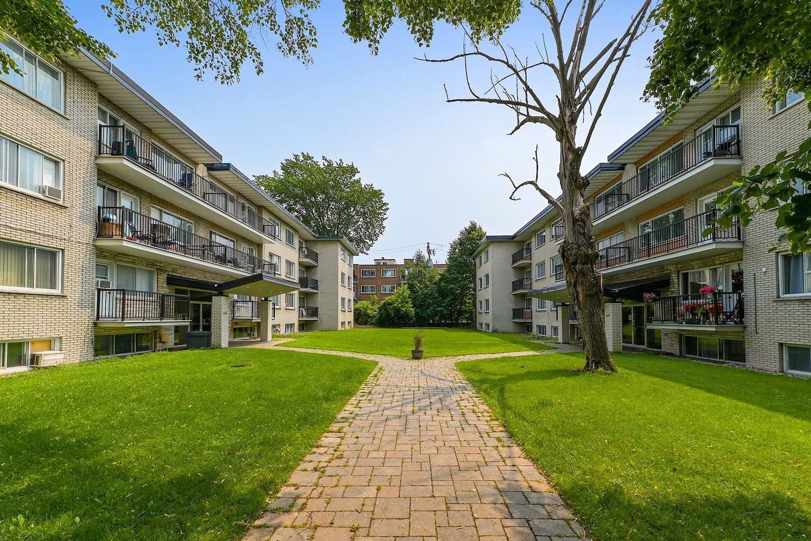 Dorval 1 bedroom Apartment for rent. Property photo: 505217-1