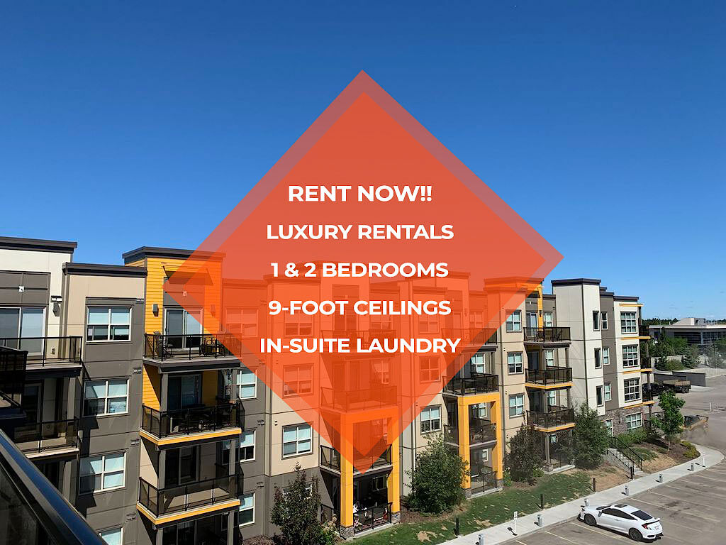 Edmonton 1 bedrooms Apartment for rent. Property photo: 508385-1