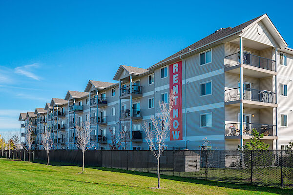 Spruce Grove 1 bedrooms Apartment for rent. Property photo: 512610-2