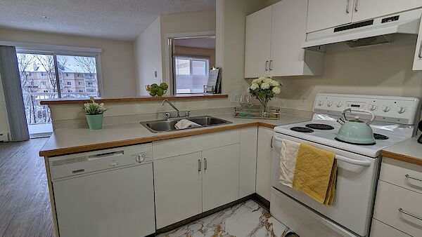 Edmonton 1 bedroom Apartment for rent. Property photo: 514895-3