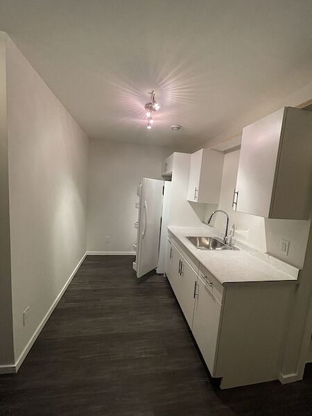 Winnipeg 2 bedrooms Basement for rent. Property photo: 515817-2