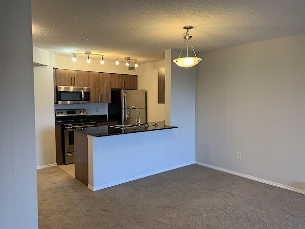Edmonton 1 bedroom Condo Unit for rent. Property photo: 516648-2