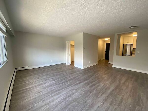 Abbotsford bachelor bedrooms Apartment for rent. Property photo: 516697-2