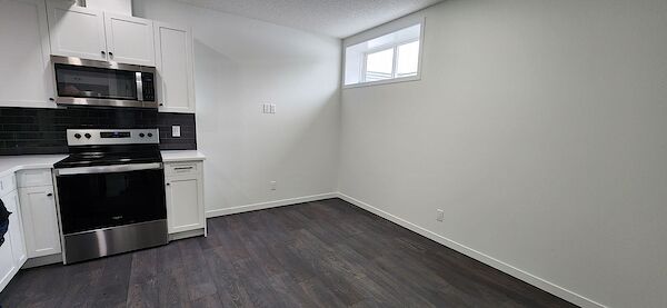 Calgary 1 bedroom Basement for rent. Property photo: 517077-3