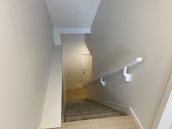 Edmonton 1 bedroom Basement for rent. Property photo: 517557-2
