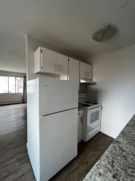Edmonton 1 bedroom Apartment for rent. Property photo: 518095-2