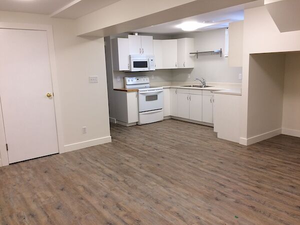 Edmonton 2 bedrooms Basement for rent. Property photo: 518542-3