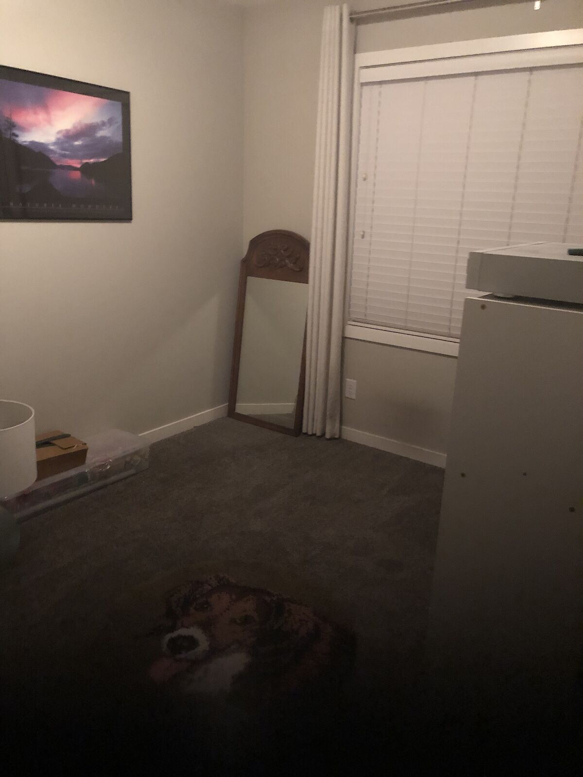 Calgary 2 + Den bedrooms Room For Rent for rent. Property photo: 518549-1