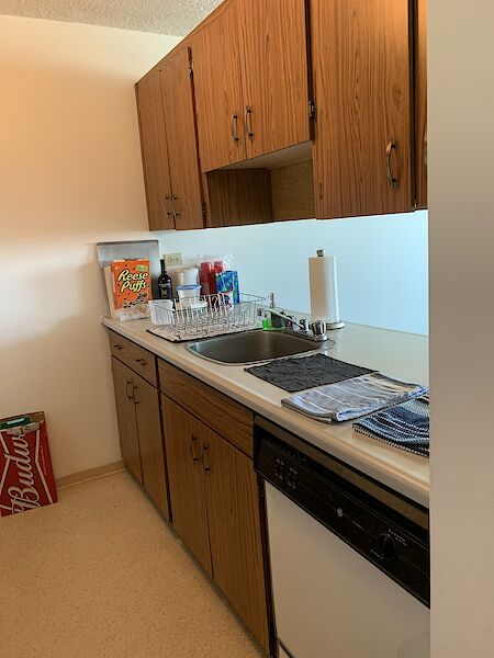 Edmonton 1 bedroom Condo Unit for rent. Property photo: 518556-3