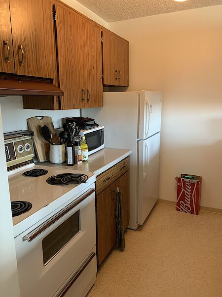 Edmonton 1 bedroom Condo Unit for rent. Property photo: 518556-2