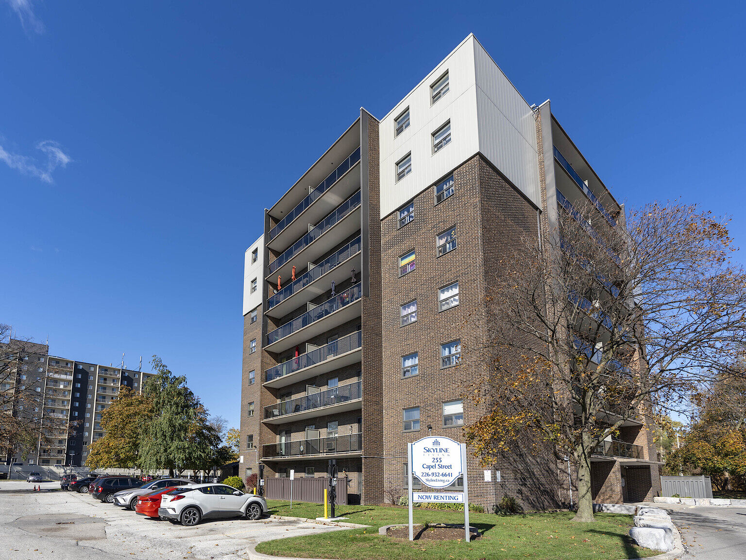 Sarnia 1 bedroom Apartment for rent. Property photo: 524431-1