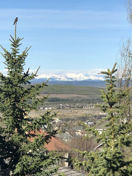 View+from+Deck Calgary 5 + Den bedrooms House for rent. Property photo: 525091-2