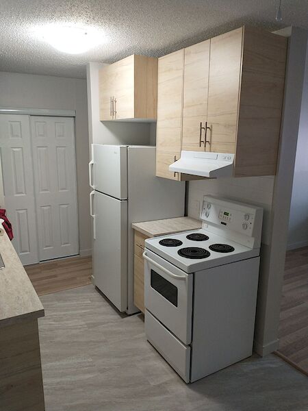 Edmonton 1 bedrooms Apartment for rent. Property photo: 527841-3