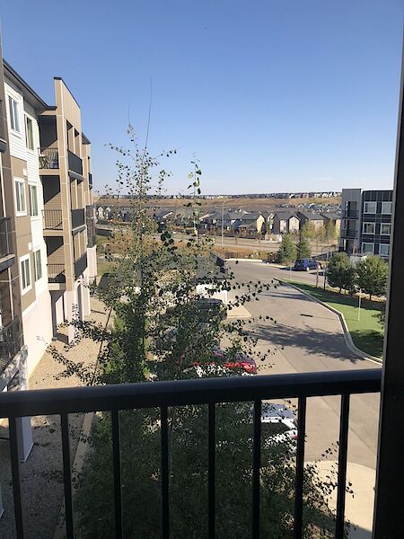 Calgary 2 + Den bedrooms Condo Unit for rent. Property photo: 537901-2