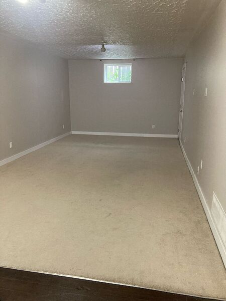 Edmonton 1 bedroom Basement for rent. Property photo: 538042-2