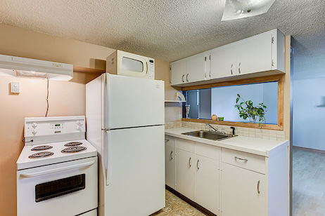 Calgary 2 bedrooms Basement for rent. Property photo: 53847-3