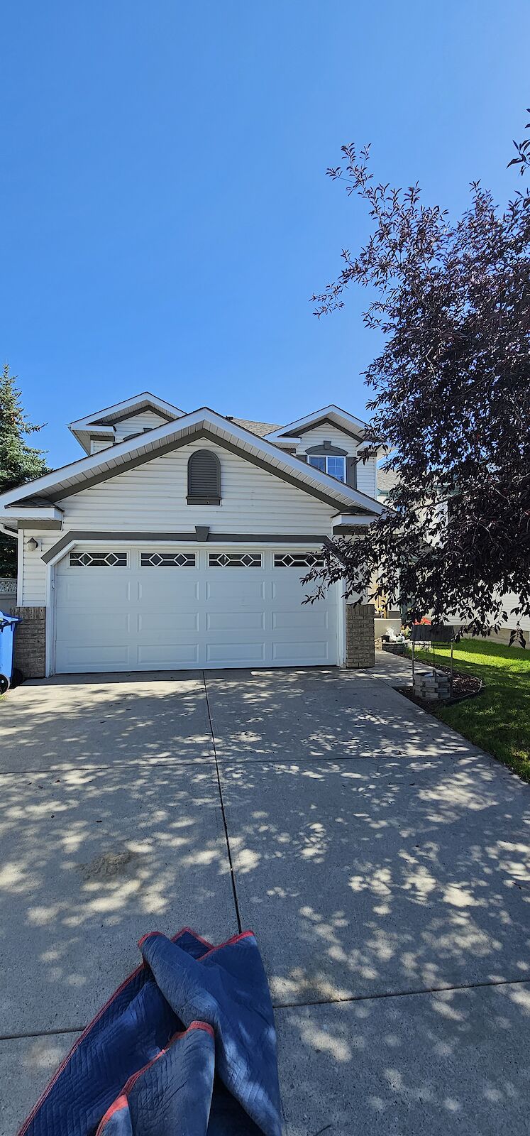 Calgary 6 bedrooms House for rent. Property photo: 538881-1